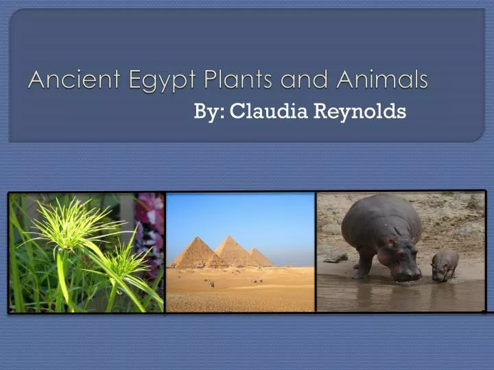 ancient egypt plants and animals