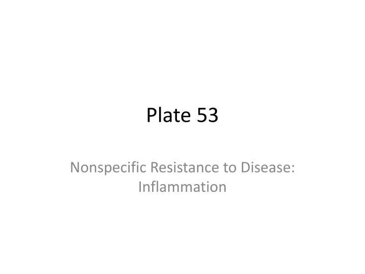plate 53