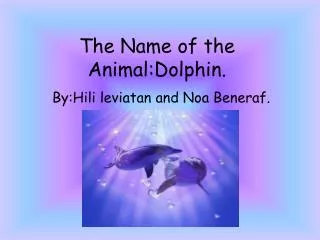 The Name of the Animal:Dolphin .