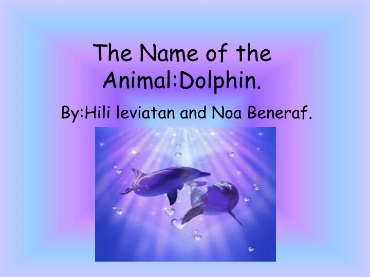 the name of the animal dolphin