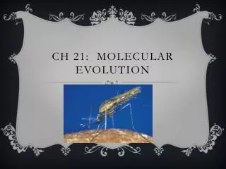 Ch 21: Molecular Evolution