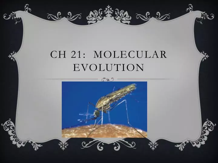 ch 21 molecular evolution