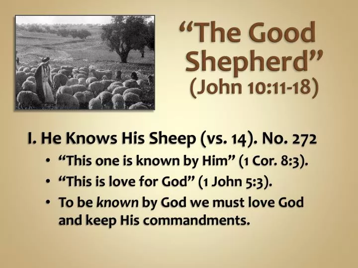 the good shepherd john 10 11 18