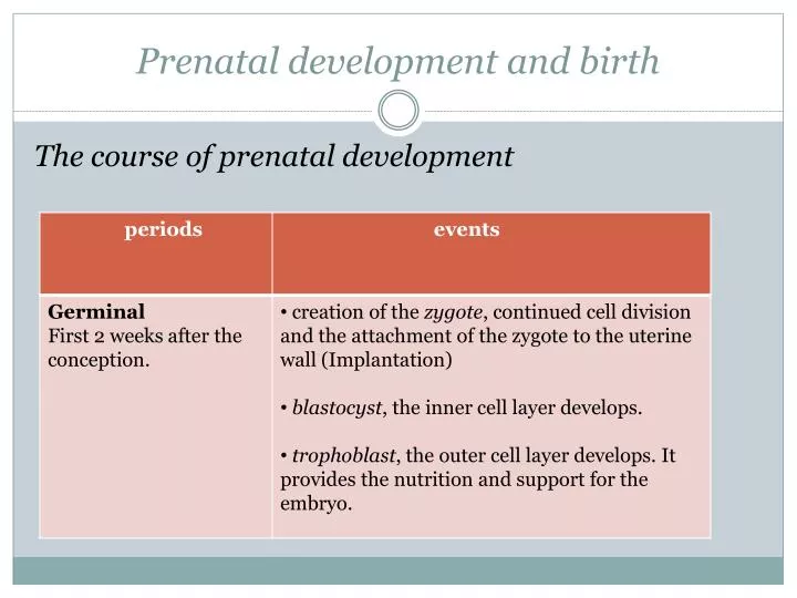 prenatal development and birth