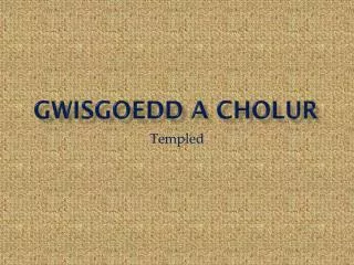 gwisgoedd a cholur