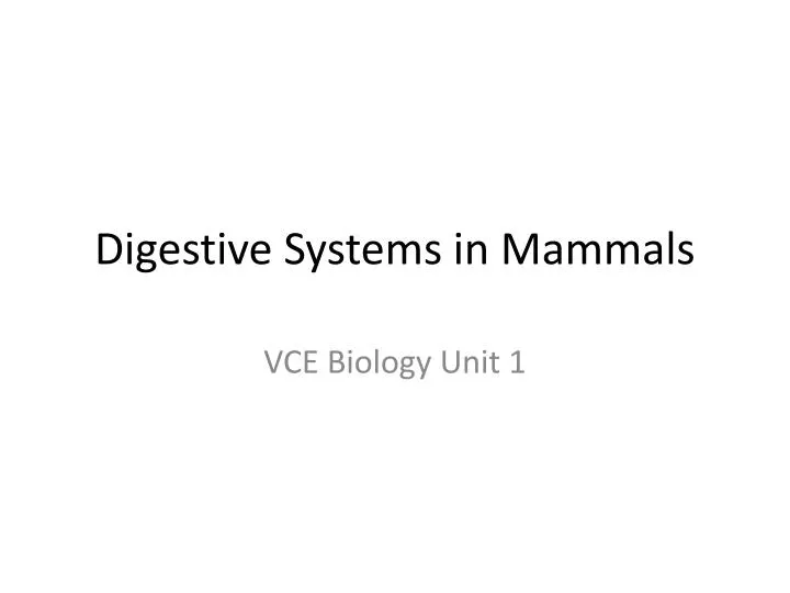 digestive systems in mammals