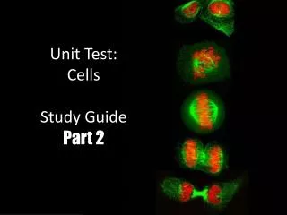 Unit Test: Cells Study Guide Part 2