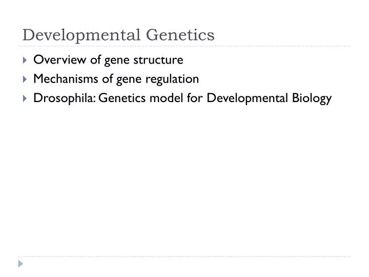 developmental genetics