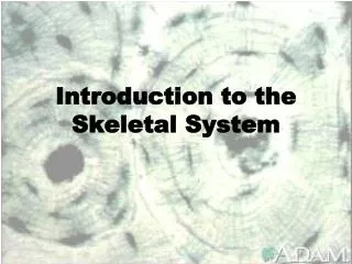 Introduction to the Skeletal System