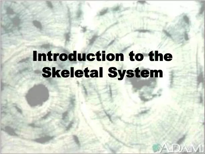 introduction to the skeletal system
