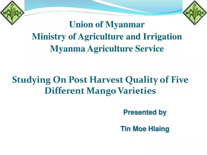 studying on post harvest quality of five different mango varieties