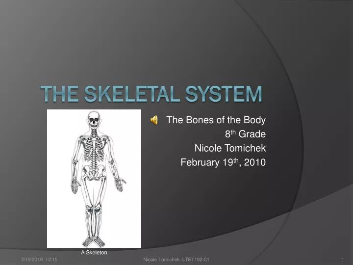 the bones of the body 8 th grade nicole tomichek february 19 th 2010