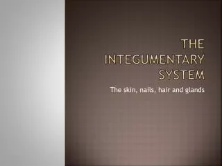 the integumentary system