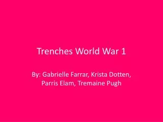 Trenches W orld War 1