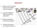 Warm Up! - slide 1