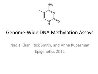 Genome-Wide DNA Methylation Assays