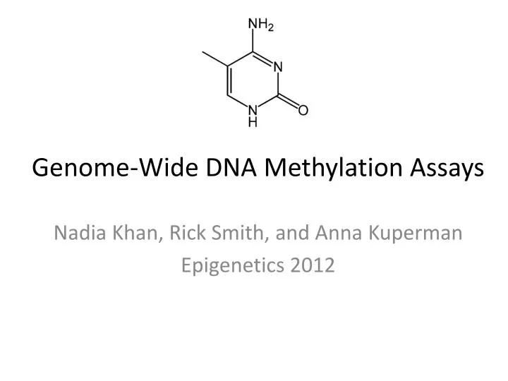 genome wide dna methylation assays