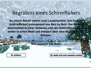 begr bnis eines schirmflickers