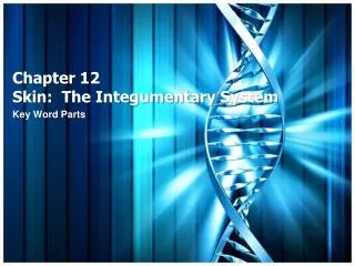 chapter 12 skin the integumentary system