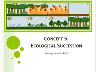Concept 5: Ecological Succession