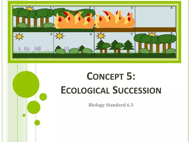 concept 5 ecological succession
