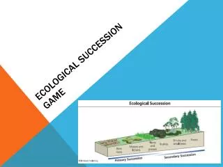 Ecological Succession Game