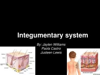 Integumentary system