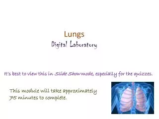 Lungs Digital Laboratory