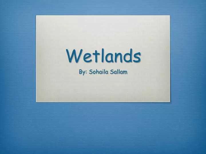 wetlands