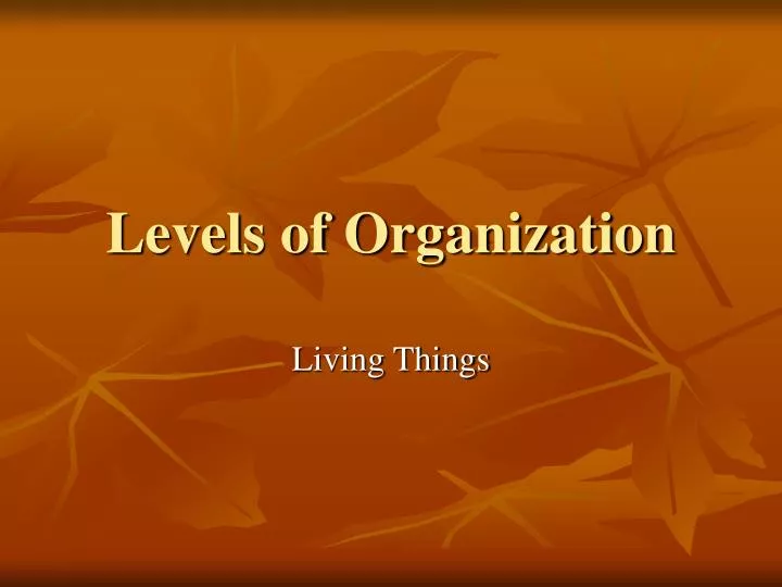 levels of organization