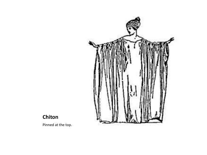 chiton