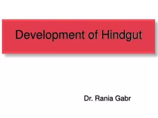 Development of Hindgut