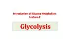 Glycolysis - slide 1