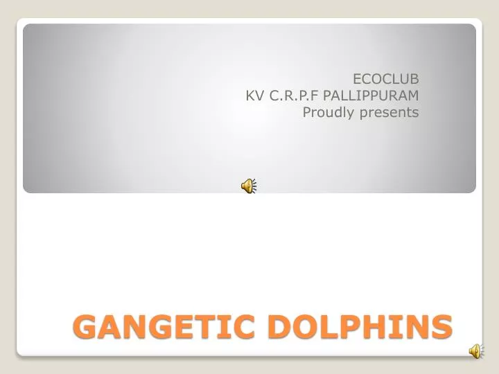 gangetic dolphins