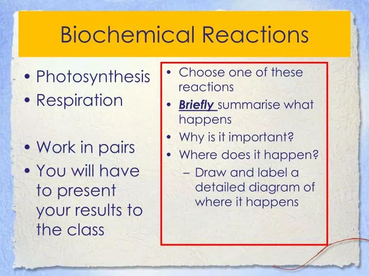 biochemical reactions
