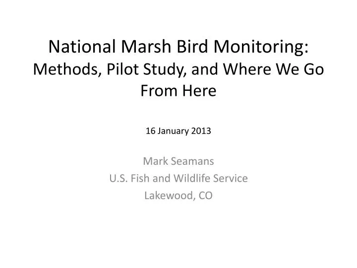 national marsh bird monitoring methods pilot study and where we go from here 16 january 2013
