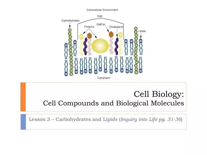 cell biology cell compounds and biological molecules