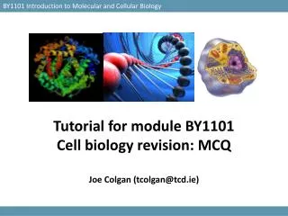 Tutorial for module BY1101 Cell biology revision: MCQ Joe Colgan (tcolgan@tcd.ie)