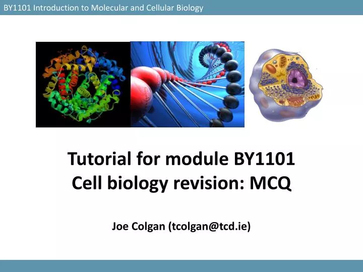 tutorial for module by1101 cell biology revision mcq joe colgan tcolgan@tcd ie