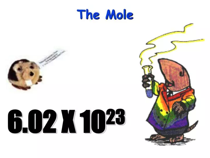 the mole