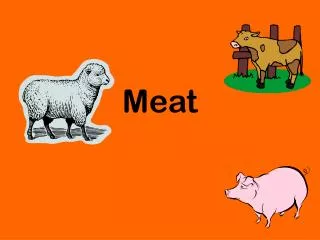 Meat