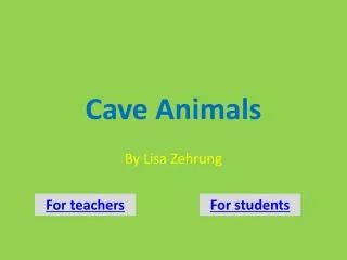 Cave Animals