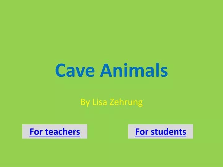 cave animals