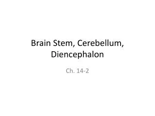 Brain Stem, Cerebellum, Diencephalon