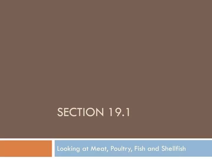 section 19 1