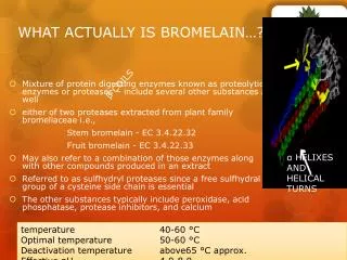 WHAT ACTUALLY IS BROMELAIN…??