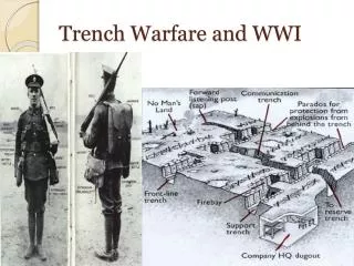 Trench Warfare and WWI