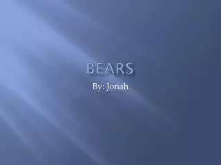 bears