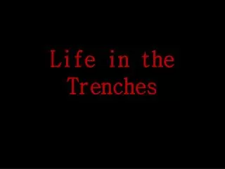 Life in the Trenches