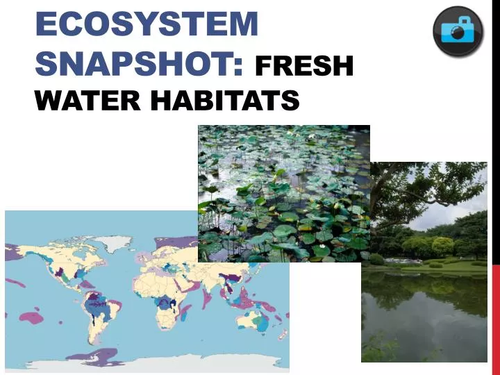 ecosystem snapshot fresh water habitats